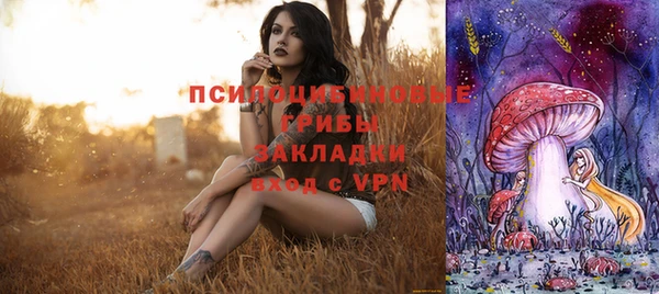 эйфоретик Балахна
