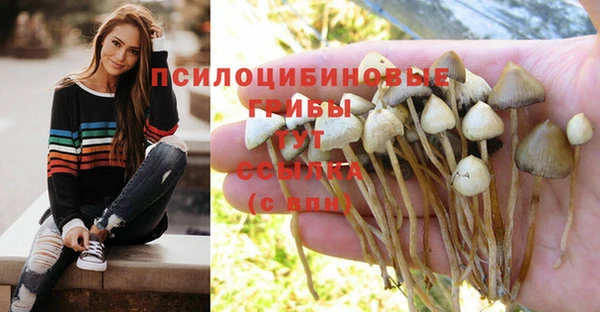 эйфоретик Балахна