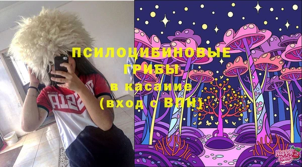 эйфоретик Балахна